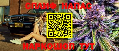 прущие грибы Камышлов