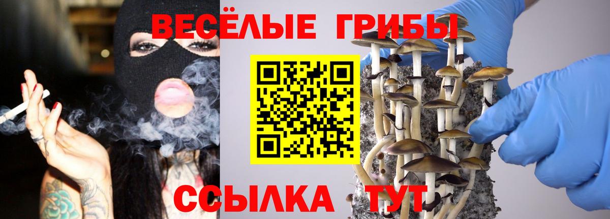 Кувандык  купить наркотик  Вход с VPN  Галлюциногенные грибы Psilocybe 